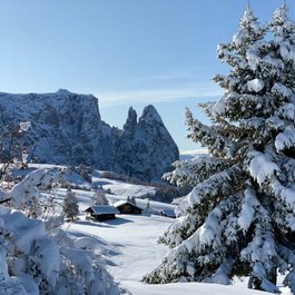 Valentinerhof – Herzlichkeit mit Dolomitenblick